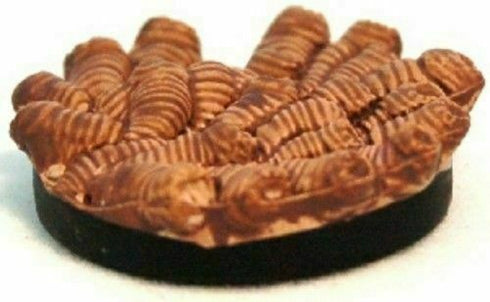 Rot Grub Swarm- Lords of Madness - Dungeons & Dragons Miniatures (DDM) #40